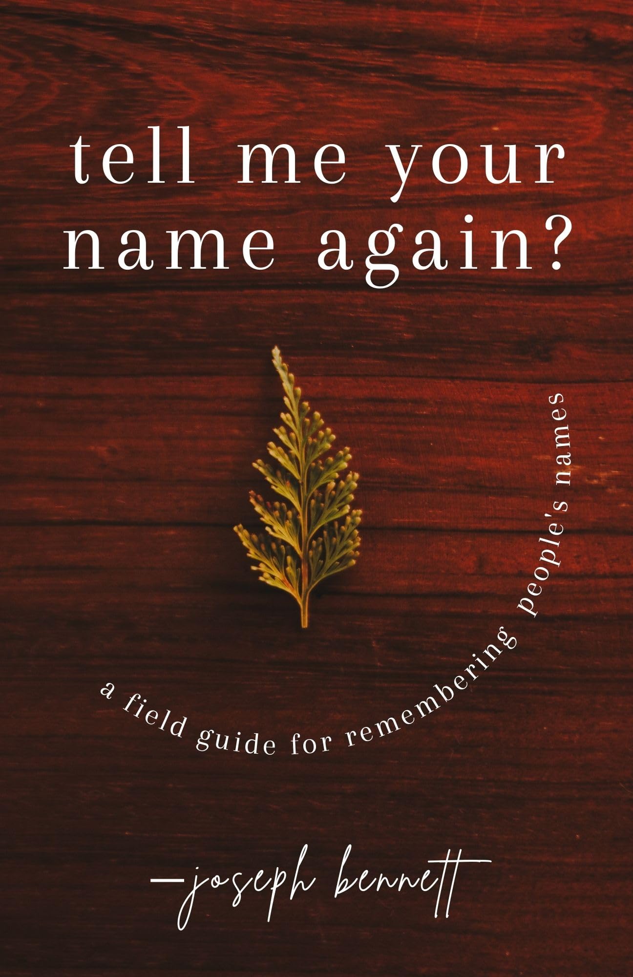 Tell Me Your Name Again?: A field guide for remembering people's names